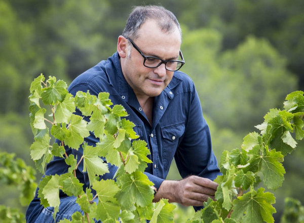 Spanischer Wein - Montsant - Josep Grau Viticultor