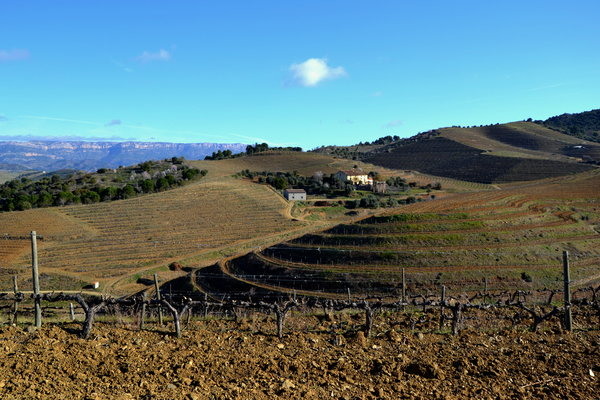 Weinbaugebiet Priorat, Wine-growing area Priorato