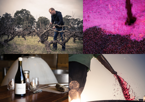 Australischer Wein - Barossa Valley - The Standish Wine Company - Dan Standish