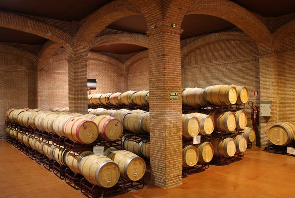 Spanischer Wein - Vino de Pago - Dehesa del Carrizal