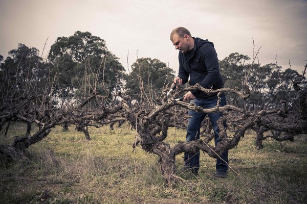 Australischer Wein - Barossa Valley - The Standish Wine Company