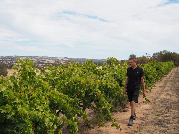 Australischer Wein - Barossa Valley - Teusner Wines