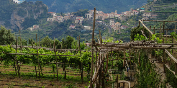 Italienischer Wein - Abruzzen - Apulien - Kampanien - Toskana - Venetien