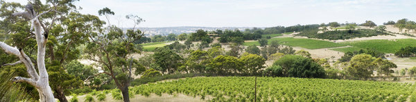 Australischer Wein - Barossa Valley - Eden Valley - Barr Eden Estate