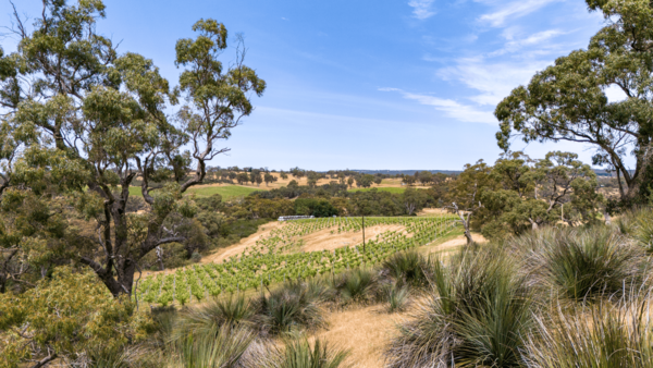 Australischer Wein - Barossa Valley - Eden Valley - Barr Eden Estate