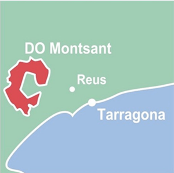 Spanischer Wein - Montsant