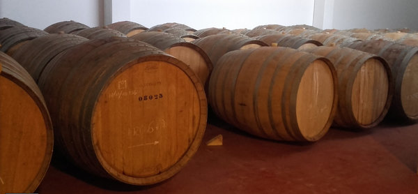 Spanischer Wein - Manchuela - Bodegas y Vinedos Ponce