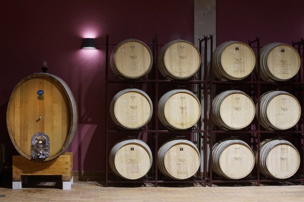 Spanischer Wein - Ribera del Duero - Bodegas Trus