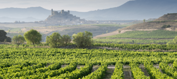 Spanischer Wein - Ribera del Duero - Bodegas Trus