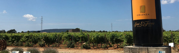 Spanischer Wein - Mallorca