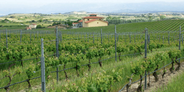 Spanischer Wein - Rioja - Bodegas y Vinedos Pujanza
