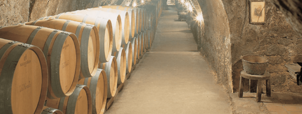 Spanischer Wein - Ribera del Duero - Bodegas Ismael Arroyo Val Sotillo