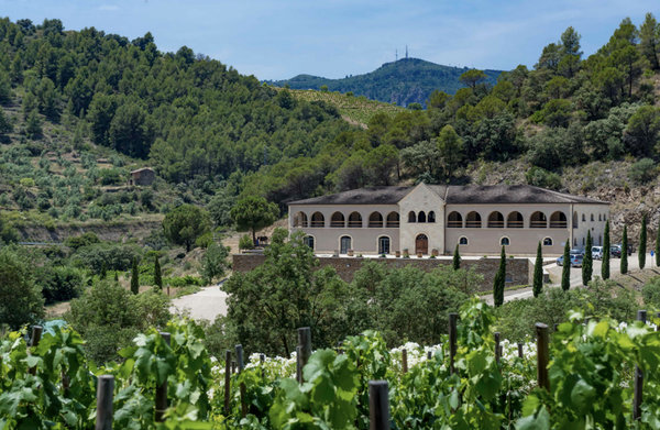 Spanischer Wein - Priorat - Bodegas Mas Alta