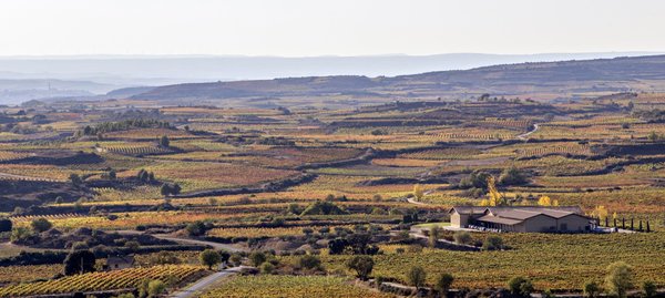 Spanischer Wein - Rioja - Vinedos de Paganos