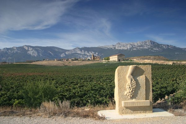 Spanischer Wein - Rioja - Vinedos de Paganos