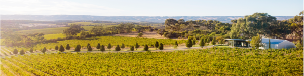 Australischer Wein - McLaren Vale - Bekkers Wine