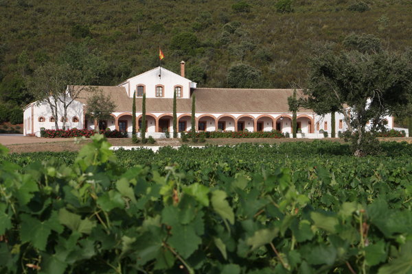 Spanischer Wein - Vino de Pago - Dehesa del Carrizal