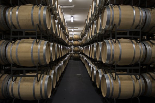 Spanischer Wein - Rioja - Bodegas Proelio