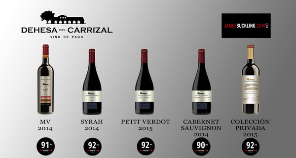 Dehesa del Carrizal - Chardonnay 2017 (90 Punkte Peñin)
